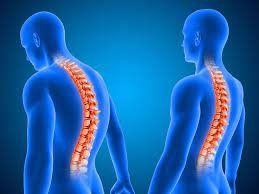 neurocirugia neurocirugia